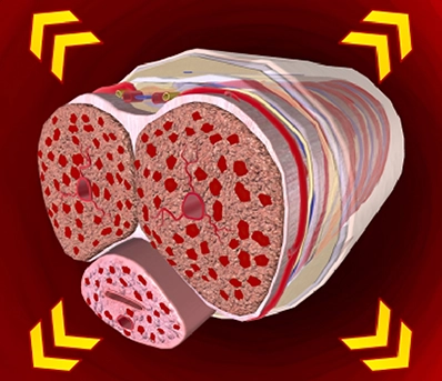Better Circulation